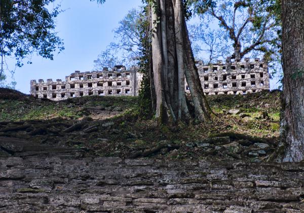  On Day 4 we traveled to Frontera Corozal and the next morning traveled by lancha to the archaeological zone of Yaxchilan.
